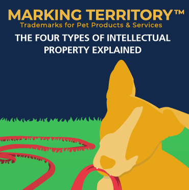 Dog holding a leash.